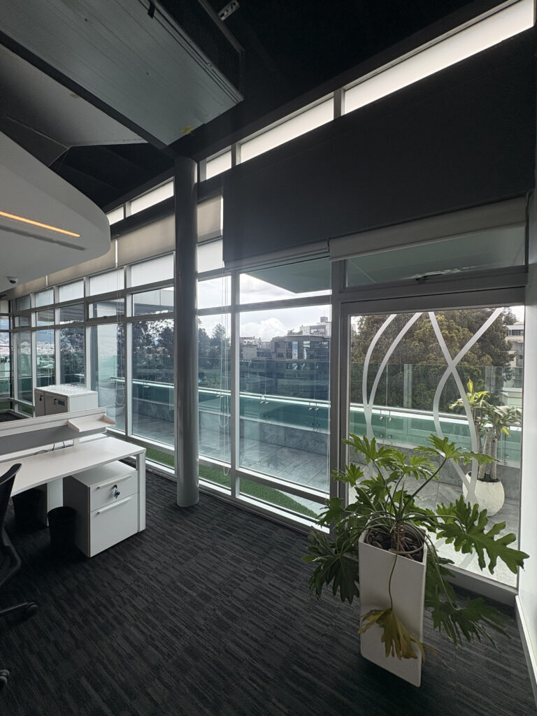 20250307_202529216_iOS